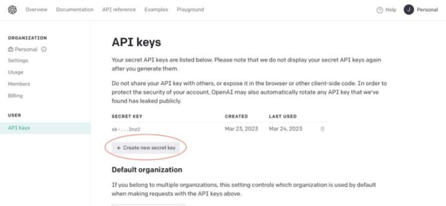 How-to-Get-OpenAI-API-access_178578c056